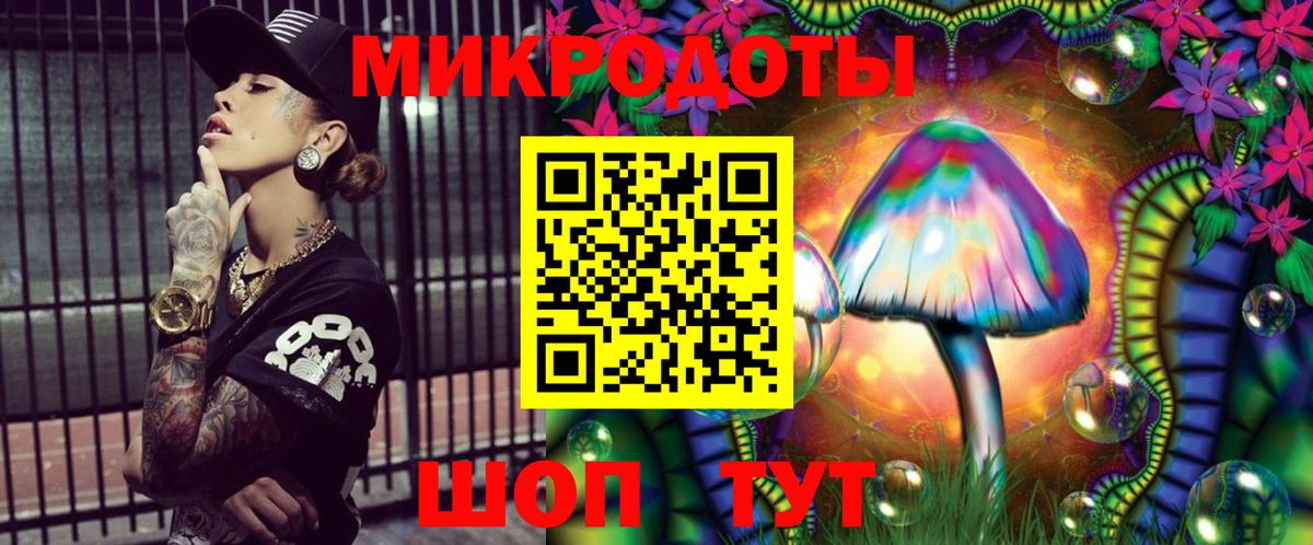 Галлюциногенные грибы мицелий Губаха