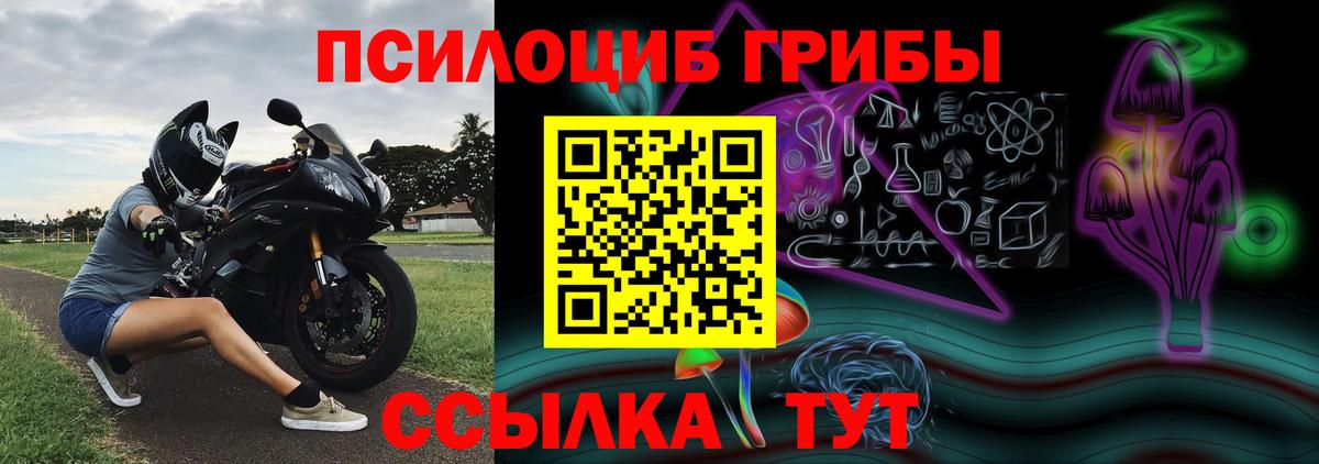 Псилоцибиновые грибы Magic Shrooms  Псилоцибиновые грибы мицелий  Губаха 
